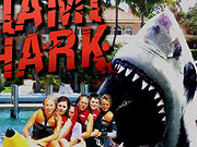 Miami Shark