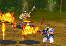 Dynasty Warrior