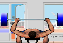 Bench Press