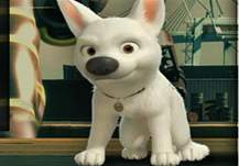 Run Bolt Run