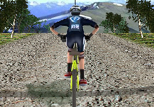 3D Mountain Bike