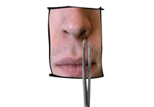 La Pinza