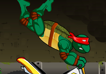 Ninja Turtle Bike