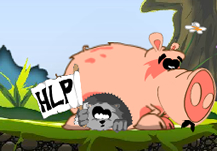 Save Echidna