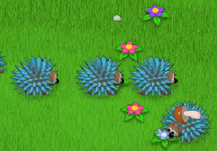 Mushroom Madness