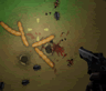 Insectonator