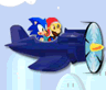Mario & Sonic Adventure Jet